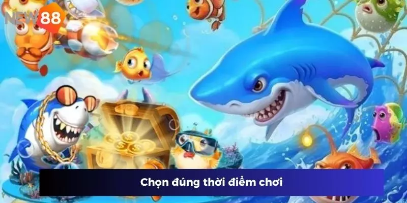 Chọn đúng thời điểm chơi