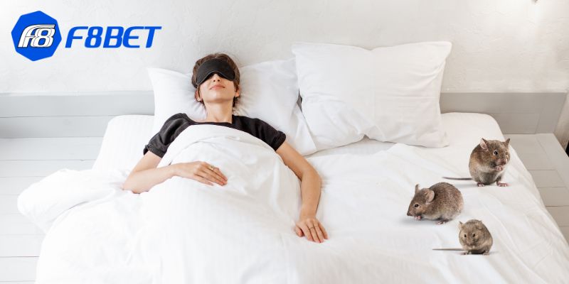 Liệu nằm mơ thấy chuột có phải là một dấu hiệu bạn đang bị ai đó "xâm lấn" vào đời sống riêng tư?